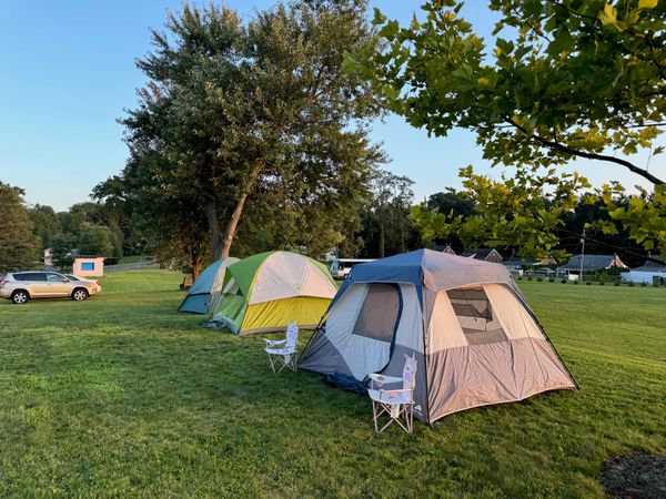 Several tents pitched on the grass under the trees